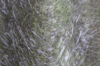 Tidworth fibreglass roof work